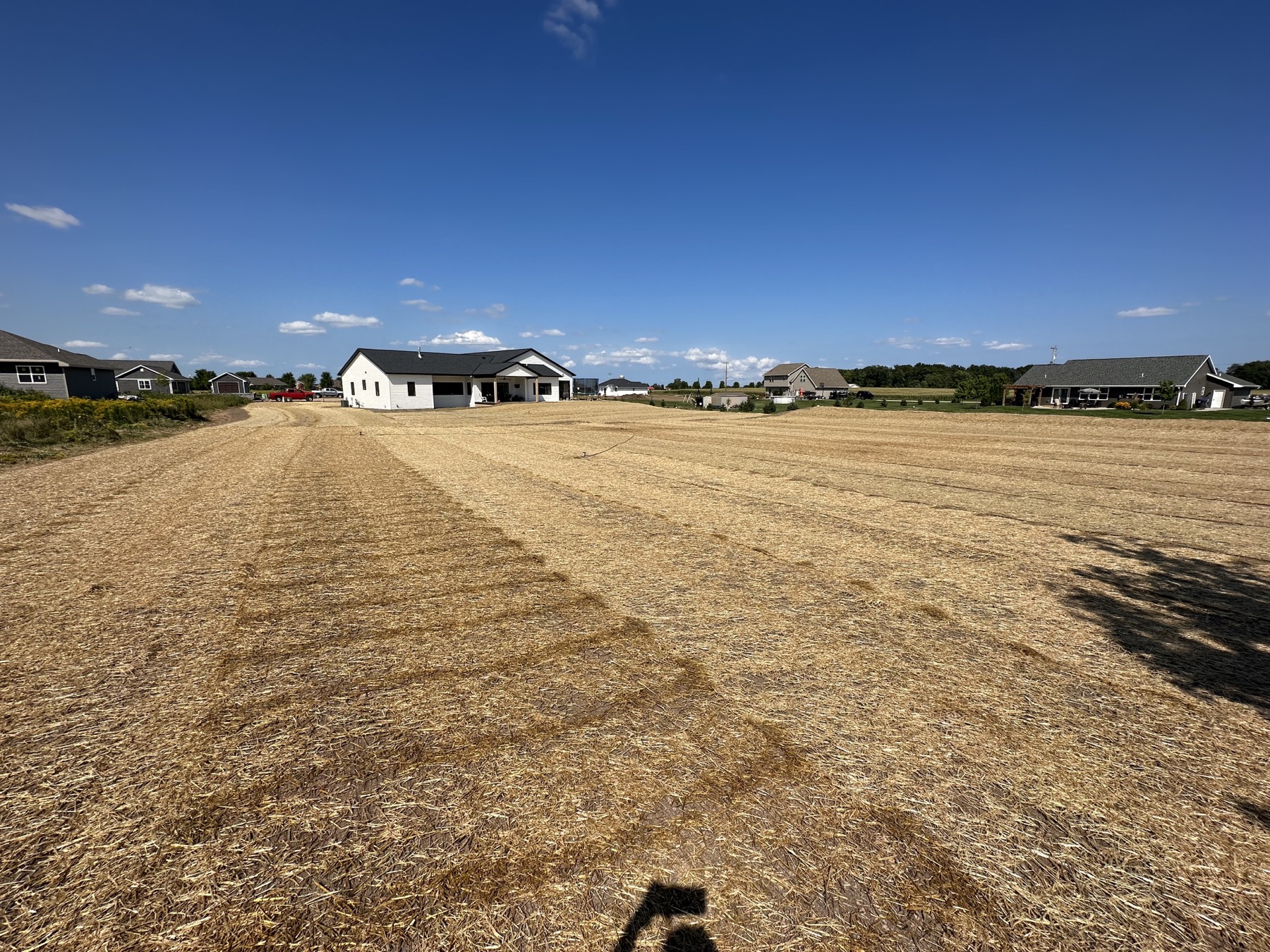 Fresh lawn installation and grading work