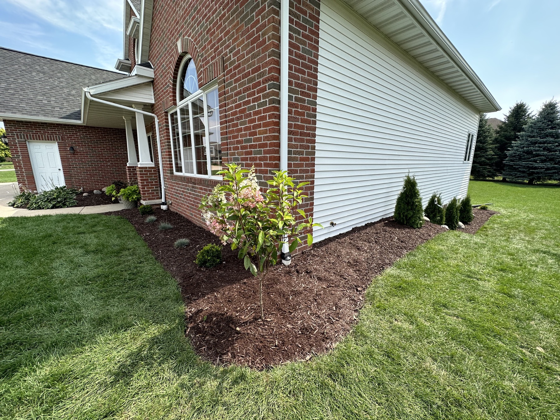 Landscape grading and drainage improvements around a yard